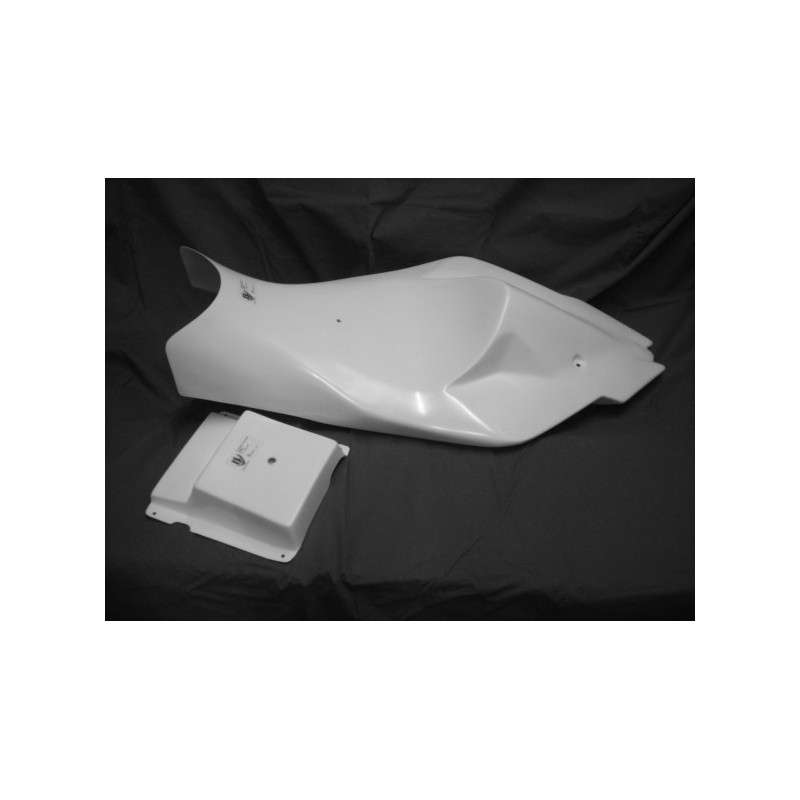 MONOCOQUE + supports S1000 RR 09/14
