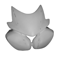 kit poly Street Triple 2013-16