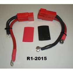 prise rapide batterie R1 2015/20